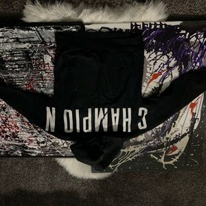 Rare champion pull over hoodie